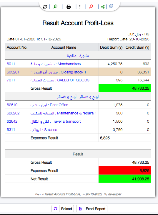 Income Statement