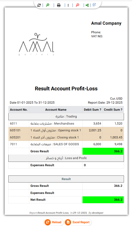 Income Statement